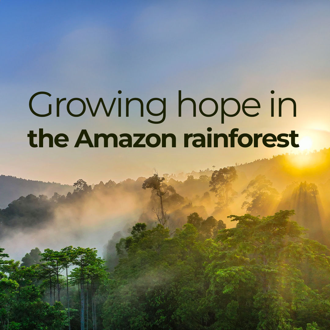 Growing Hope in the Amazon Rainforest: The Carbify Tree-Planting Success Story